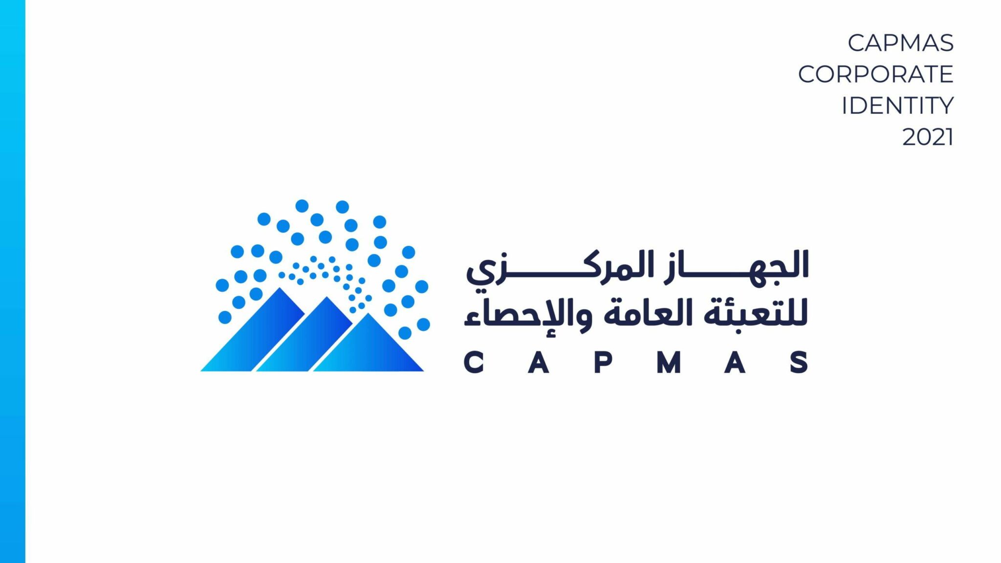 Central Agency for Public Mobilization and Statistics (CAPMAS)